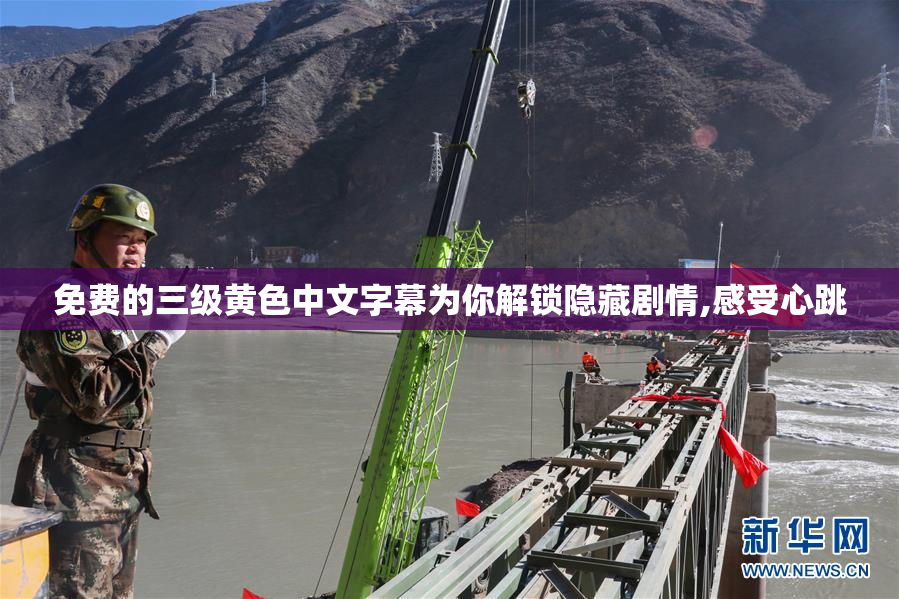 免费的三级黄色中文字幕为你解锁隐藏剧情,感受心跳
