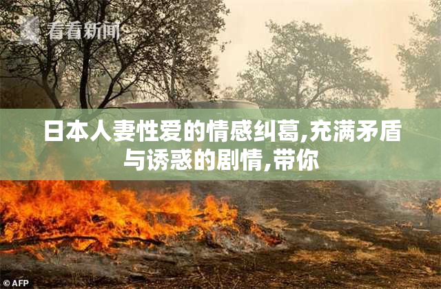 日本人妻性爱的情感纠葛,充满矛盾与诱惑的剧情,带你