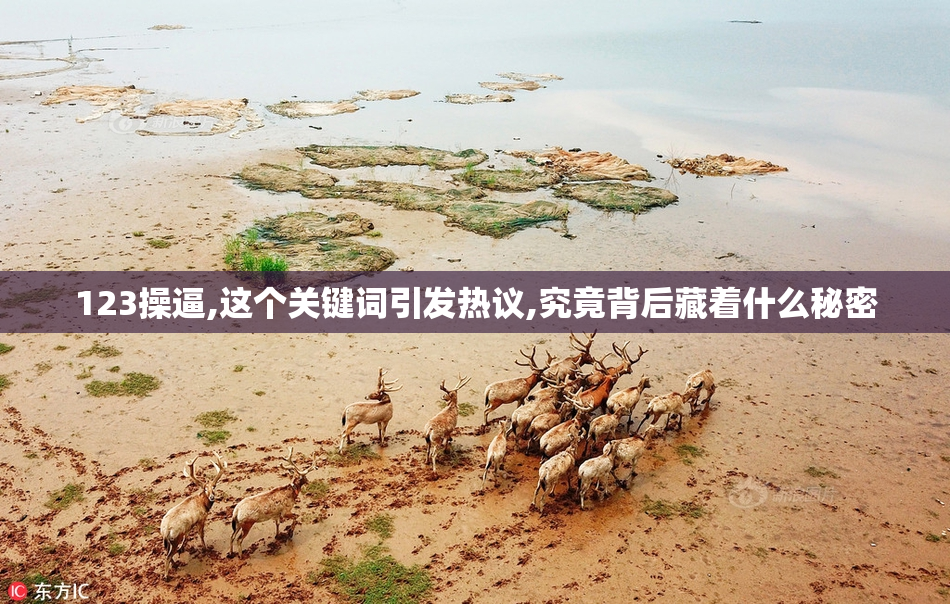 123操逼,这个关键词引发热议,究竟背后藏着什么秘密