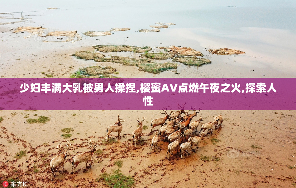 少妇丰满大乳被男人揉捏,樱蜜AV点燃午夜之火,探索人性