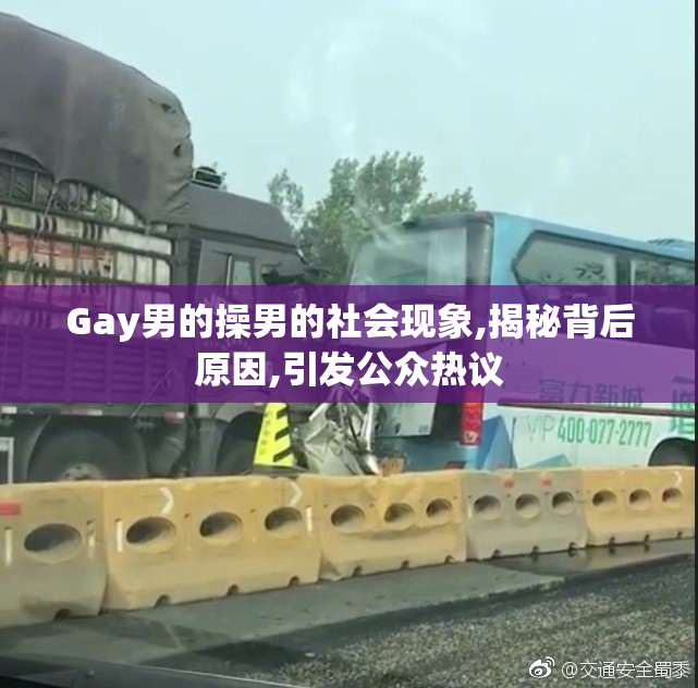 Gay男的操男的社会现象,揭秘背后原因,引发公众热议