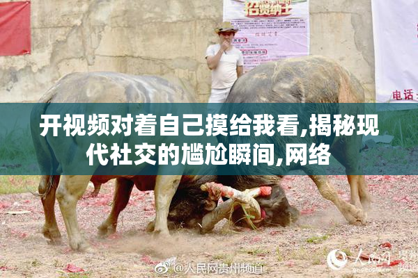 开视频对着自己摸给我看,揭秘现代社交的尴尬瞬间,网络