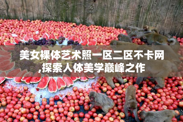 美女裸体艺术照一区二区不卡网,探索人体美学巅峰之作