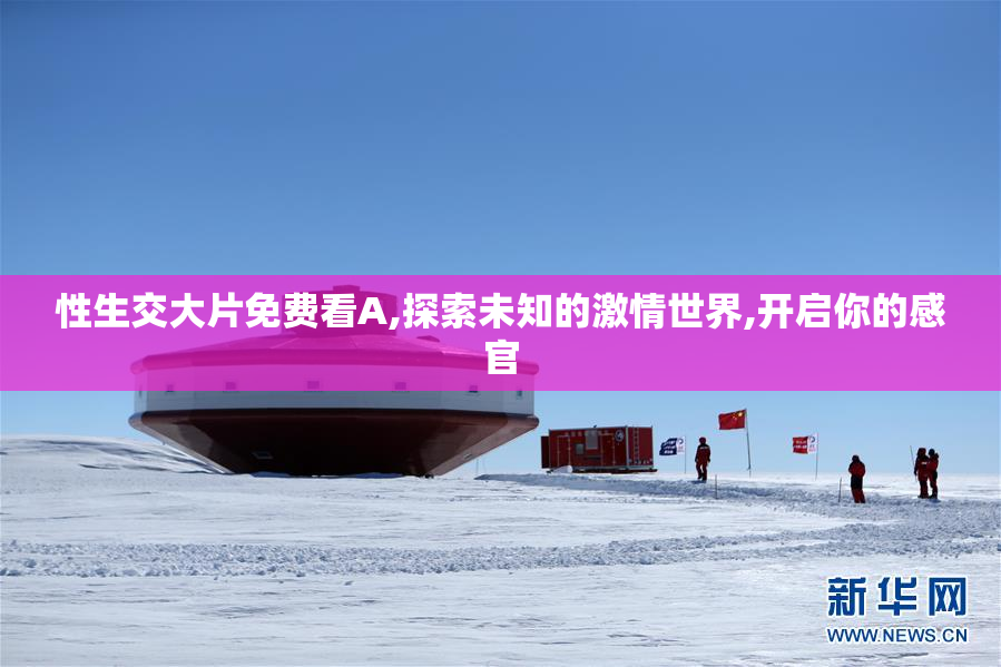 性生交大片免费看A,探索未知的激情世界,开启你的感官