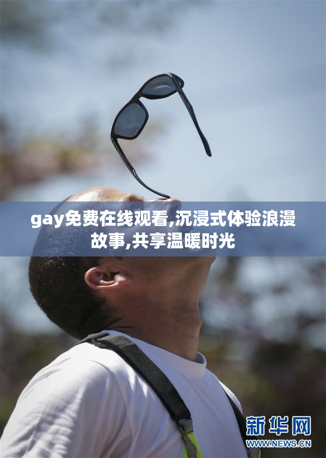 gay免费在线观看,沉浸式体验浪漫故事,共享温暖时光