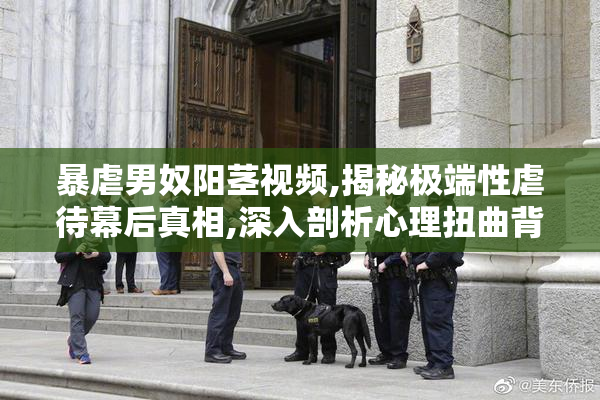 暴虐男奴阳茎视频,揭秘极端性虐待幕后真相,深入剖析心理扭曲背后