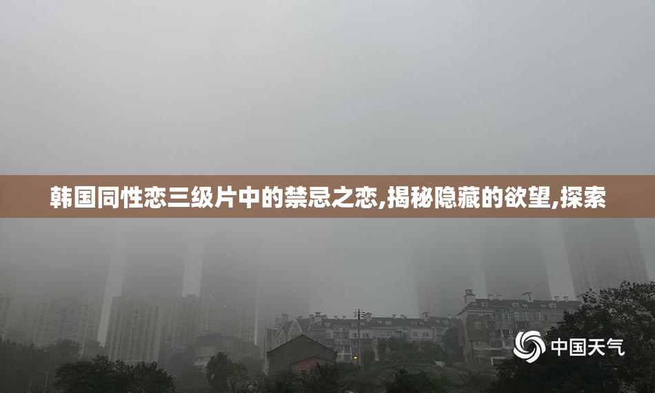 韩国同性恋三级片中的禁忌之恋,揭秘隐藏的欲望,探索