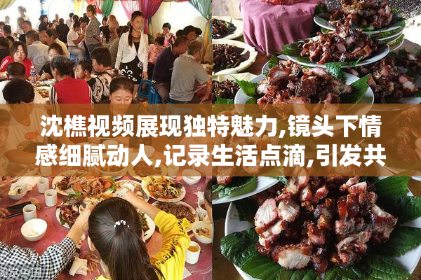 沈樵视频展现独特魅力,镜头下情感细腻动人,记录生活点滴,引发共鸣