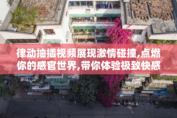 律动抽插视频展现激情碰撞,点燃你的感官世界,带你体验极致快感