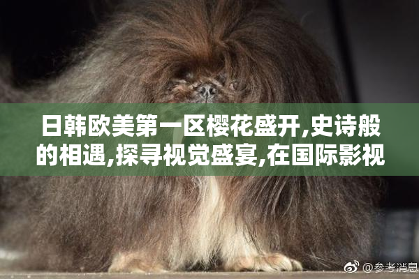 日韩欧美第一区樱花盛开,史诗般的相遇,探寻视觉盛宴,在国际影视
