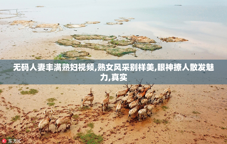 无码人妻丰满熟妇视频,熟女风采别样美,眼神撩人散发魅力,真实