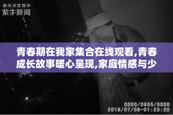 青春期在我家集合在线观看,青春成长故事暖心呈现,家庭情感与少年