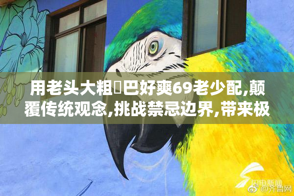 用老头大粗鳮巴好爽69老少配,颠覆传统观念,挑战禁忌边界,带来极致