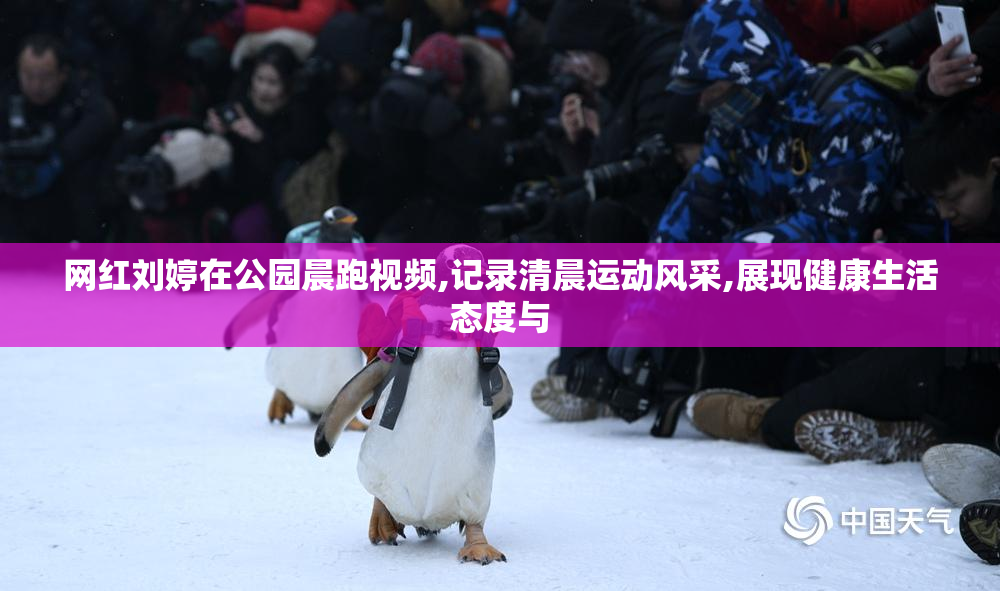 网红刘婷在公园晨跑视频,记录清晨运动风采,展现健康生活态度与