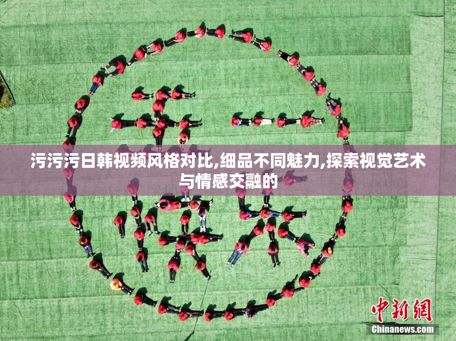 污污污日韩视频风格对比,细品不同魅力,探索视觉艺术与情感交融的