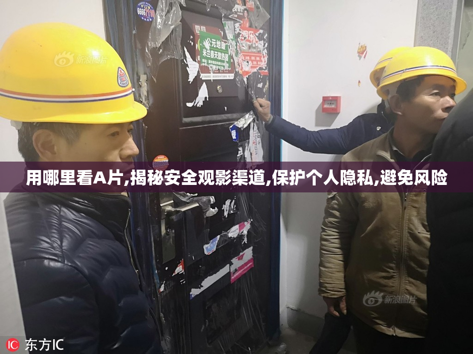 用哪里看A片,揭秘安全观影渠道,保护个人隐私,避免风险