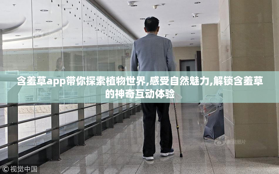 含羞草app带你探索植物世界,感受自然魅力,解锁含羞草的神奇互动体验