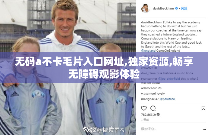 无码a不卡毛片入口网址,独家资源,畅享无障碍观影体验