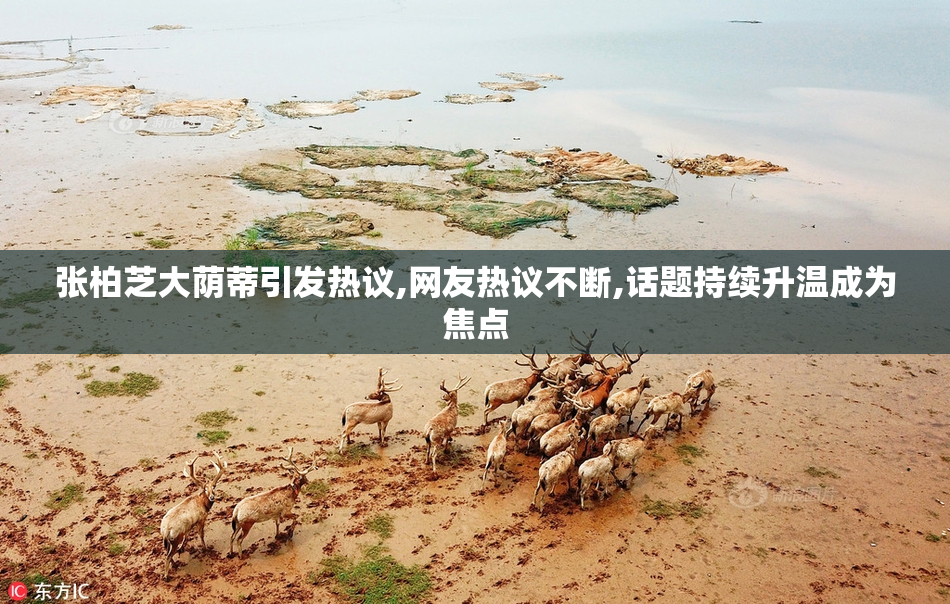 张柏芝大荫蒂引发热议,网友热议不断,话题持续升温成为焦点