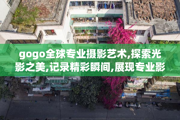 gogo全球专业摄影艺术,探索光影之美,记录精彩瞬间,展现专业影像魅力