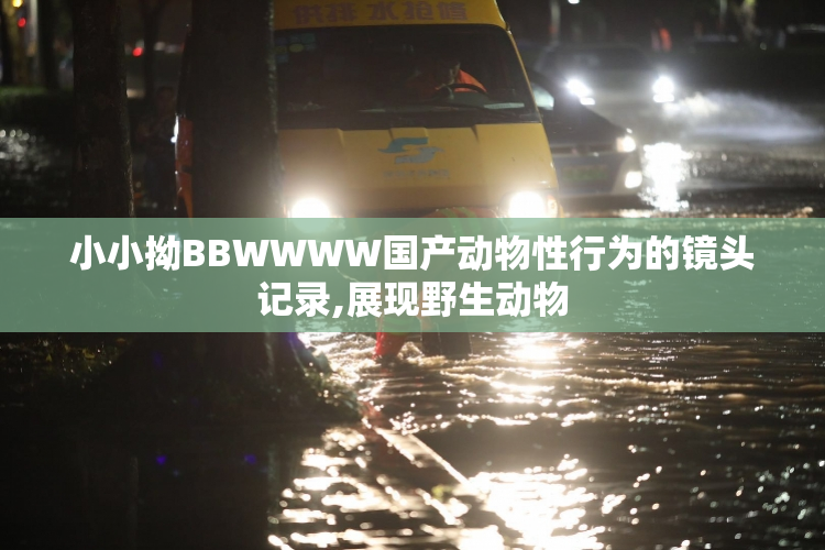 小小拗BBWWWW国产动物性行为的镜头记录,展现野生动物