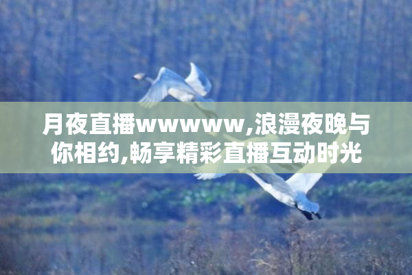 月夜直播wwwww,浪漫夜晚与你相约,畅享精彩直播互动时光