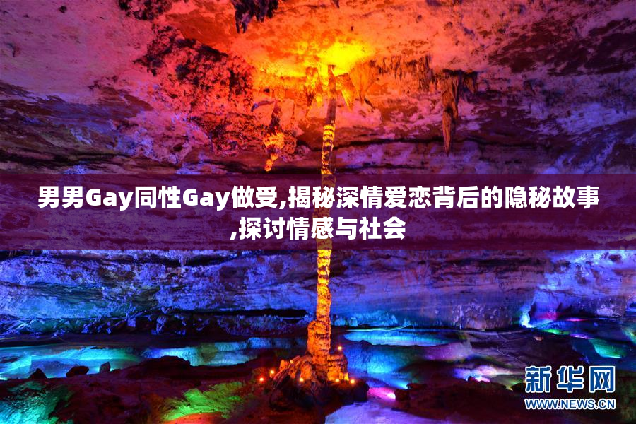 男男Gay同性Gay做受,揭秘深情爱恋背后的隐秘故事,探讨情感与社会