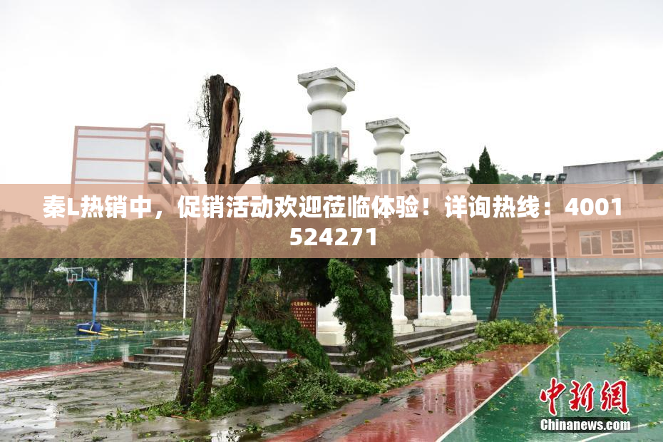 秦L热销中，促销活动欢迎莅临体验！详询热线：4001524271