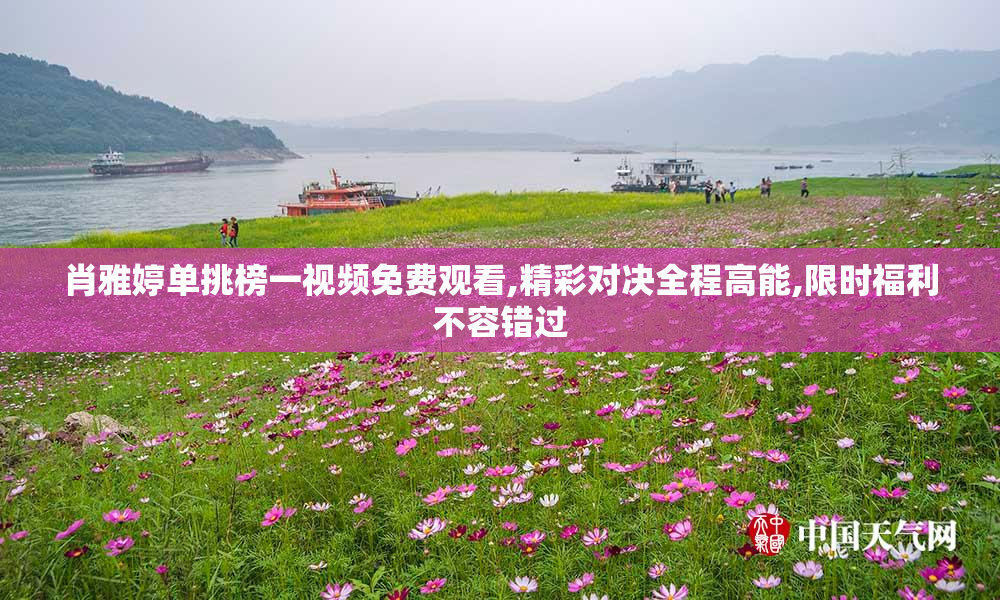 肖雅婷单挑榜一视频免费观看,精彩对决全程高能,限时福利不容错过