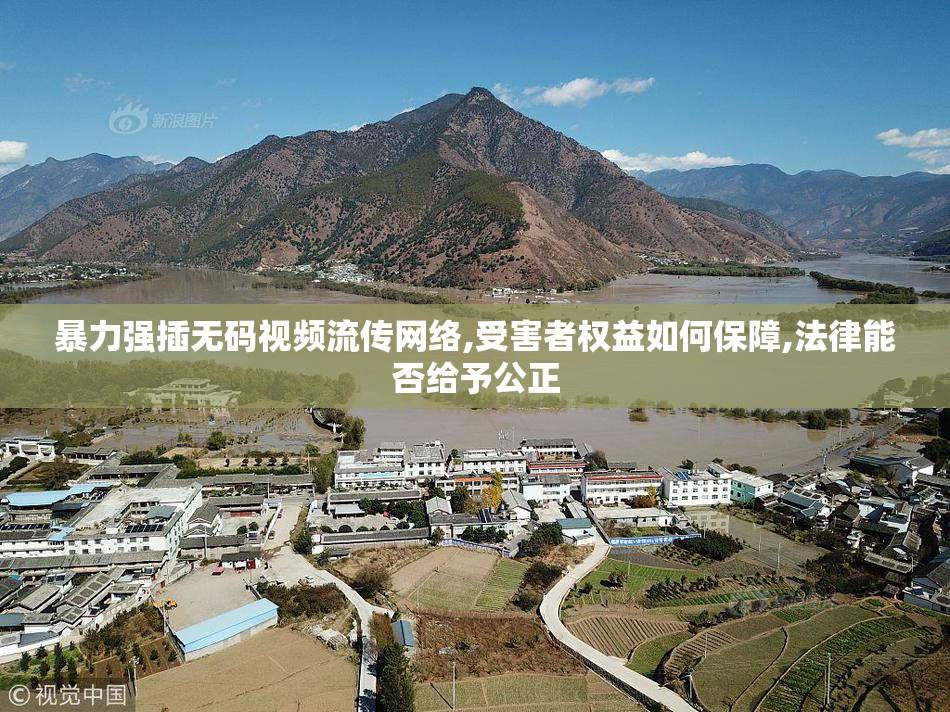 暴力强插无码视频流传网络,受害者权益如何保障,法律能否给予公正