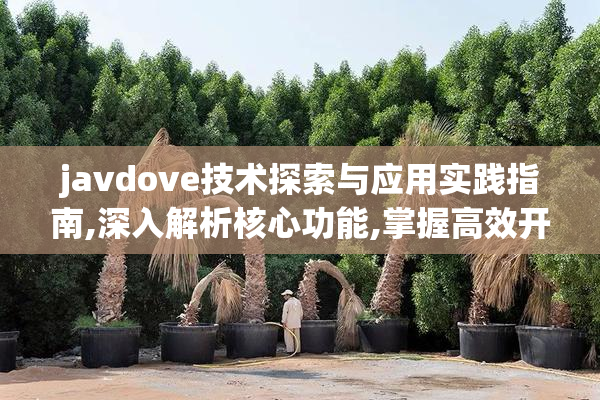 javdove技术探索与应用实践指南,深入解析核心功能,掌握高效开发技巧