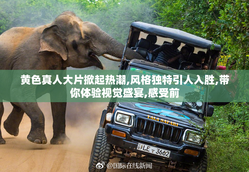 黄色真人大片掀起热潮,风格独特引人入胜,带你体验视觉盛宴,感受前