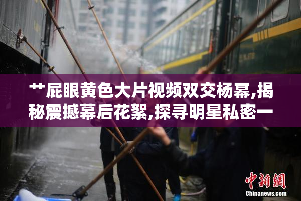 艹屁眼黄色大片视频双交杨幂,揭秘震撼幕后花絮,探寻明星私密一面