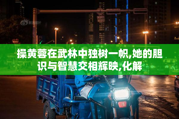 操黄蓉在武林中独树一帜,她的胆识与智慧交相辉映,化解