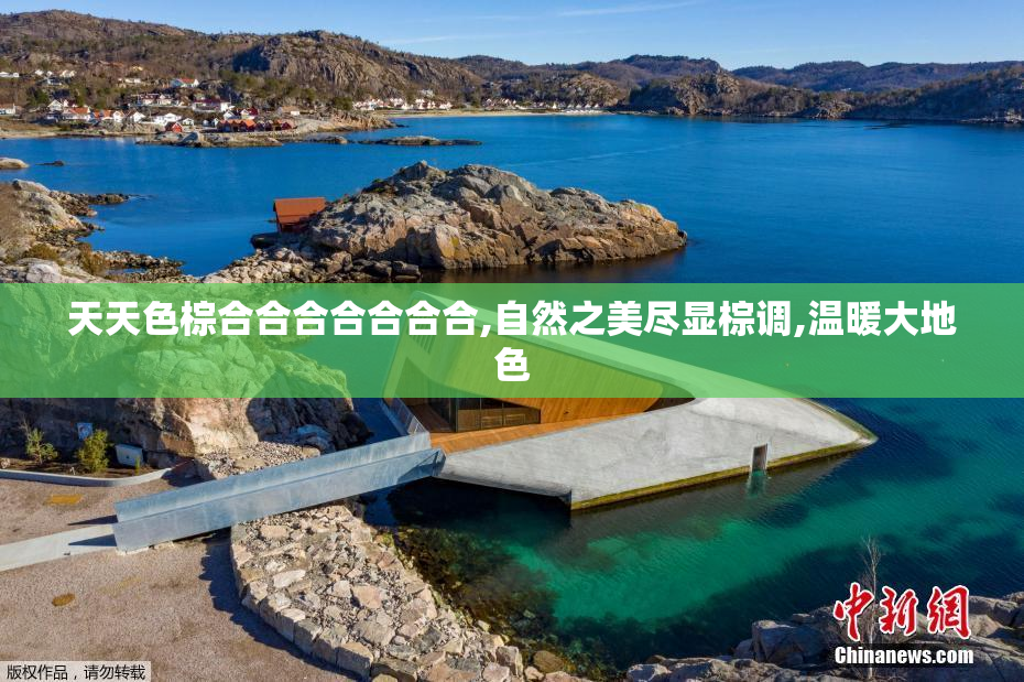 天天色棕合合合合合合合,自然之美尽显棕调,温暖大地色