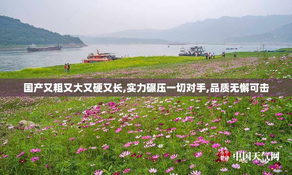 国产又粗又大又硬又长,实力碾压一切对手,品质无懈可击