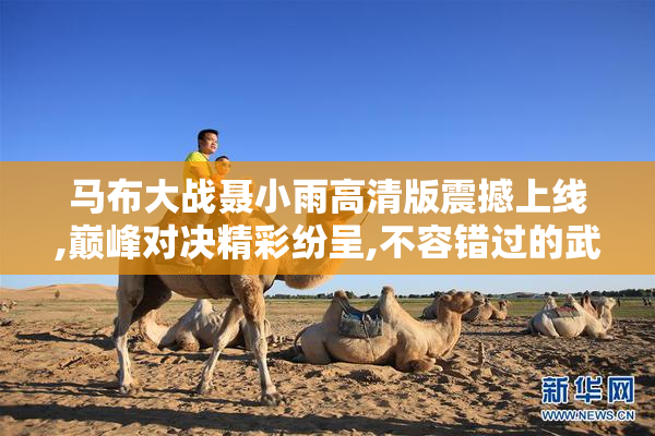 马布大战聂小雨高清版震撼上线,巅峰对决精彩纷呈,不容错过的武术