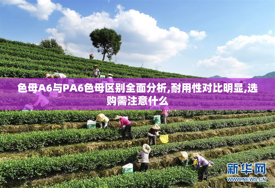 色母A6与PA6色母区别全面分析,耐用性对比明显,选购需注意什么