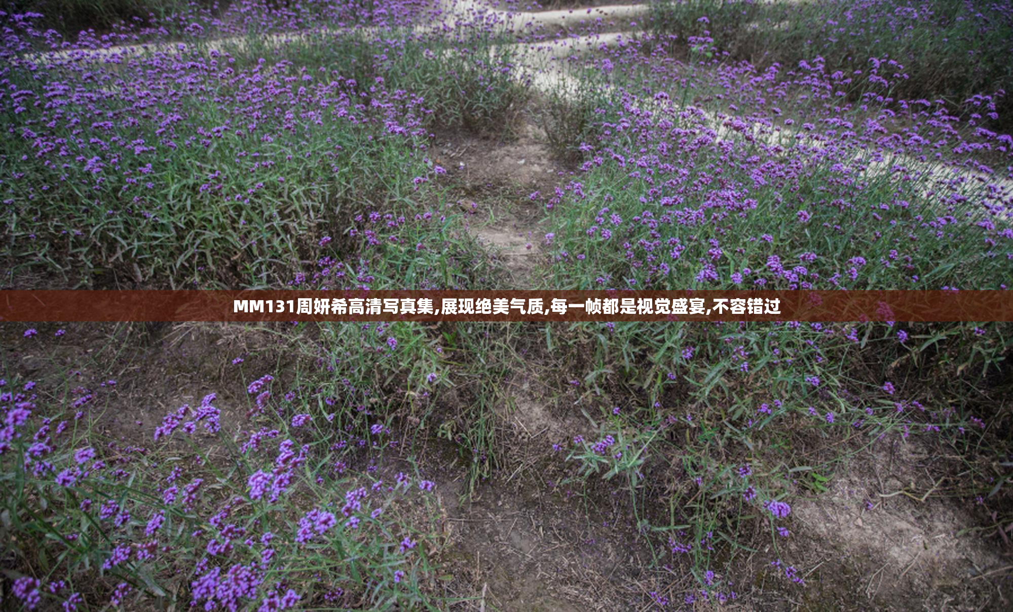 MM131周妍希高清写真集,展现绝美气质,每一帧都是视觉盛宴,不容错过
