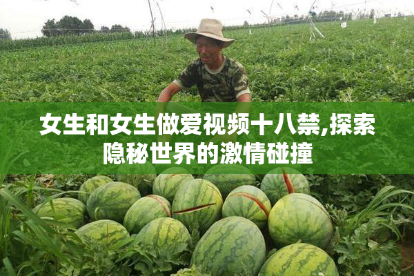 女生和女生做爱视频十八禁,探索隐秘世界的激情碰撞