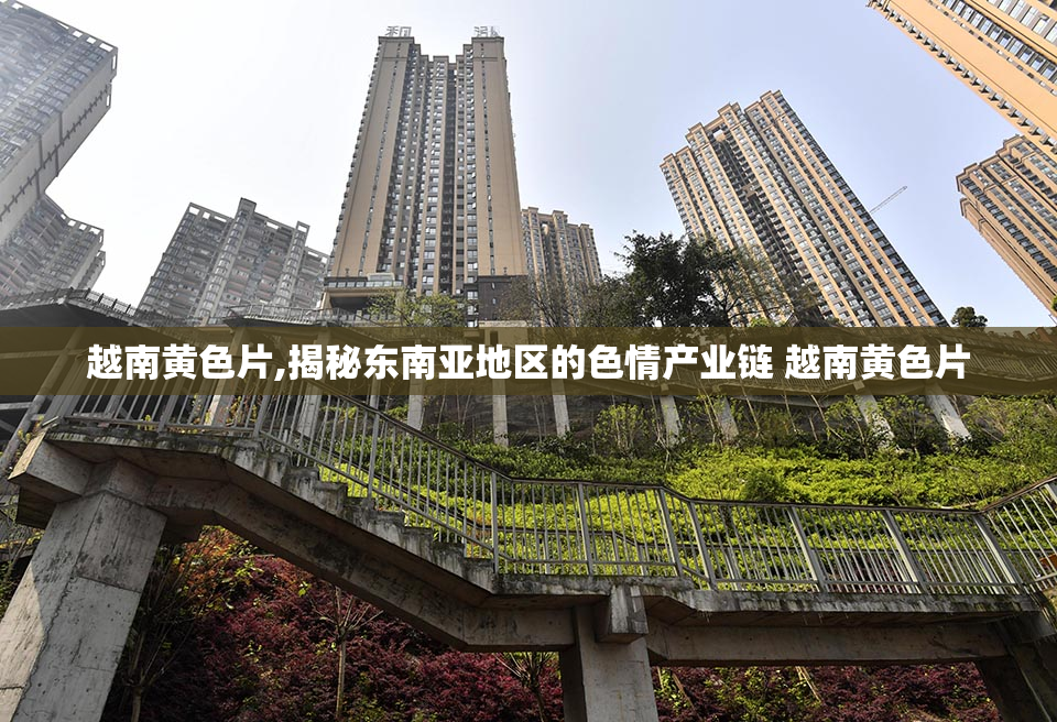 越南黄色片,揭秘东南亚地区的色情产业链 越南黄色片