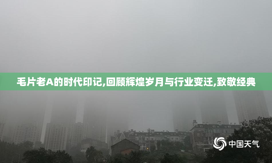毛片老A的时代印记,回顾辉煌岁月与行业变迁,致敬经典