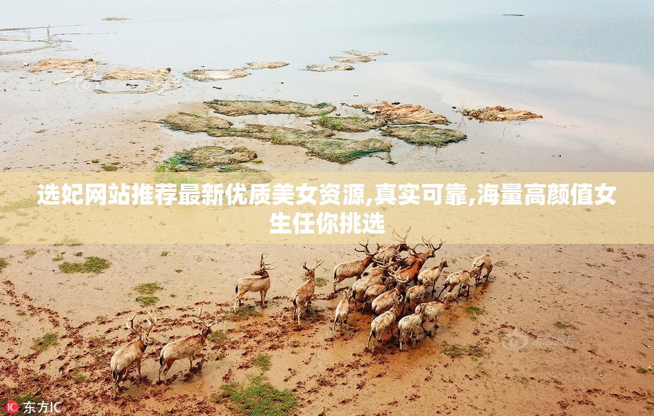 选妃网站推荐最新优质美女资源,真实可靠,海量高颜值女生任你挑选