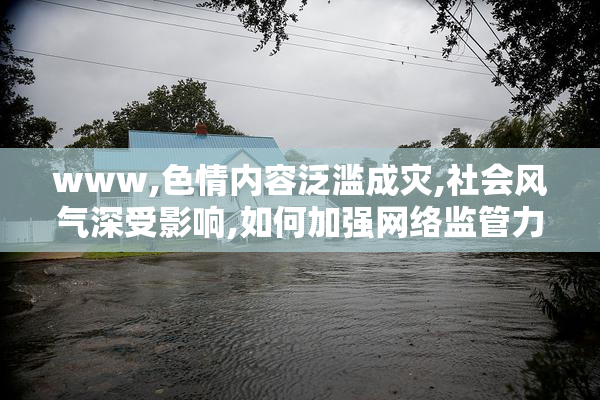 www,色情内容泛滥成灾,社会风气深受影响,如何加强网络监管力度
