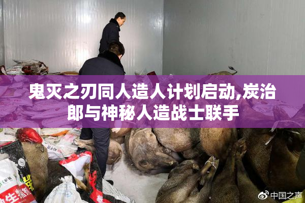 鬼灭之刃同人造人计划启动,炭治郎与神秘人造战士联手
