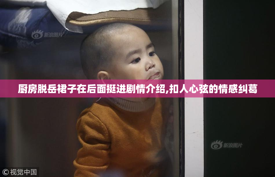 厨房脱岳裙子在后面挺进剧情介绍,扣人心弦的情感纠葛