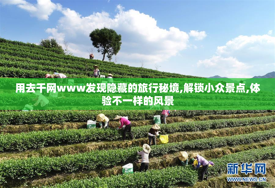 用去干网www发现隐藏的旅行秘境,解锁小众景点,体验不一样的风景