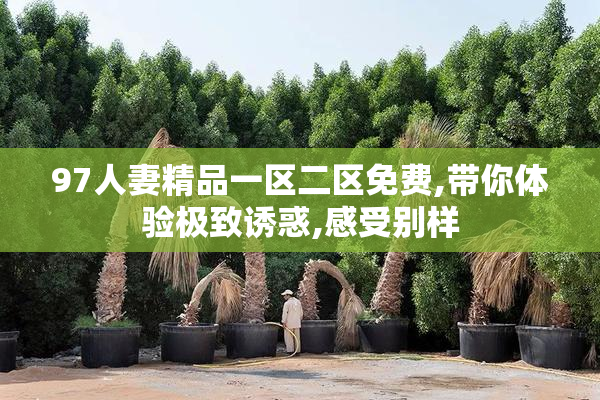 97人妻精品一区二区免费,带你体验极致诱惑,感受别样