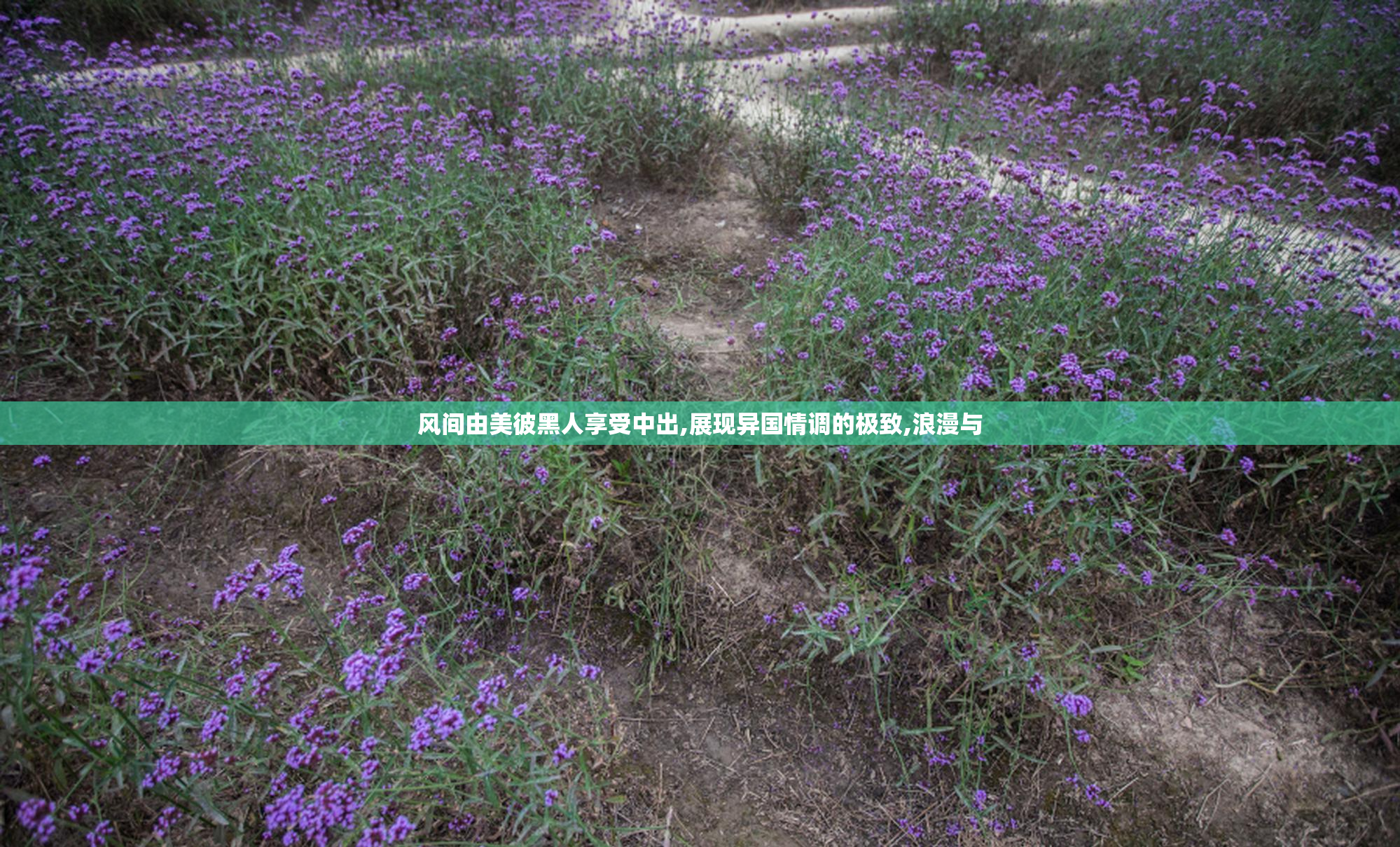 风间由美彼黑人享受中出,展现异国情调的极致,浪漫与