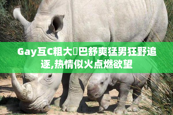 Gay互C粗大雞巴舒爽猛男狂野追逐,热情似火点燃欲望